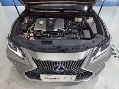 2018 Lexus ES 300h Excellence Edition China V, фото 3, лот 11178399