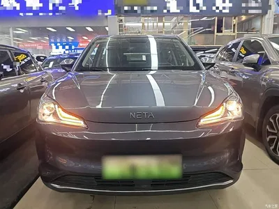 2022 Nezha Auto Nezha V Trend 300 Industry Custom Edition, фото 3, лот 10823726