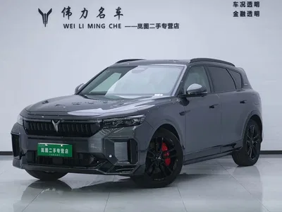 2025 Voyah Auto VOYAH FREE 318 318km RWD Touring Edition, фото 1, лот 10310080