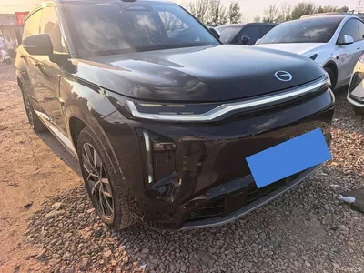 2025 GAC Trumpchi Trumpchi Xiangwang S7 180km Ultra AWD Edition, фото 3, лот 10418690