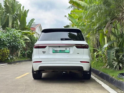 2020 Li Auto Li ONE Extended Range 6-seater, фото 4, лот 10825302