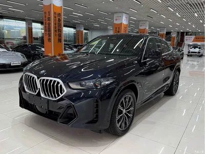 2023 BMW X6 xDrive30i M Sport Package, фото 1, лот 10446012