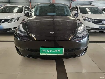 2021 Tesla Model Y Standard Range Rear-Wheel Drive, фото 3, лот 11081172