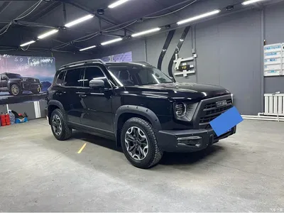 2024 Haval Big Dog 2.0T DCT Chinese Rural Dog Edition, фото 3, лот 10361792