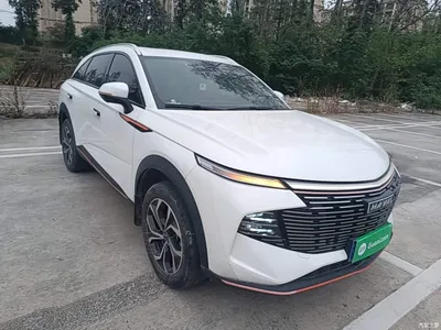 2022 Haval Shenshou 1.5T Smart Enjoyment Edition, фото 4, лот 11195950
