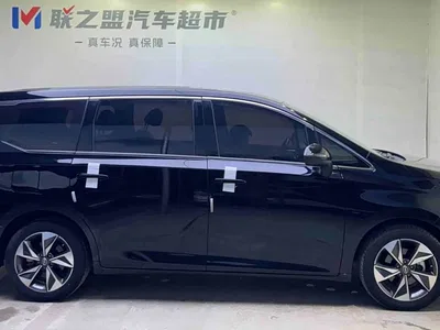 2021 GAC Trumpchi Trumpchi M6 PRO 270T DCT Luxury Edition, фото 4, лот 10416298