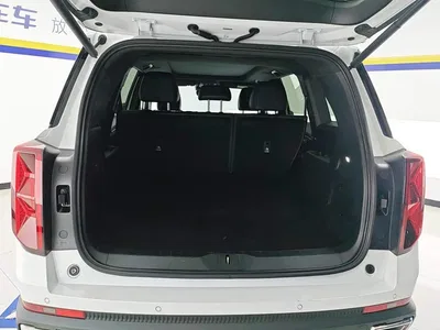 2025 GAC Trumpchi Trumpchi GS8 Pilot Series 2.0TGDI 2WD Luxury Edition 5-seater, фото 4, лот 11204017