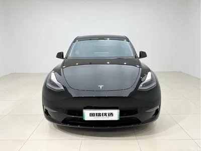 2021 Tesla Model Y Model Long Range AWD, фото 2, лот 10482513