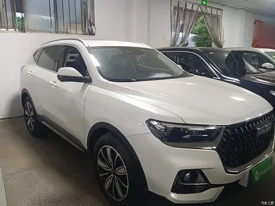 2023 Haval H6 National Trend Edition 1.5T Automatic Champion, фото 4, лот 11140725