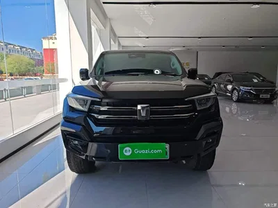 2024 Tank 400 New Energy Hi4-T Off-Road Edition, фото 3, лот 10345330