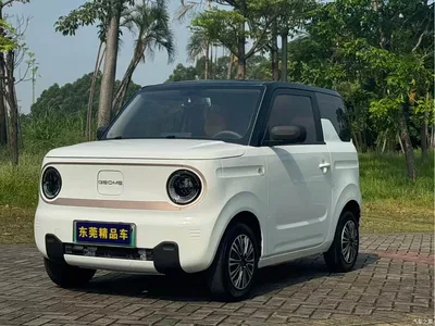 2023 Geely Galaxy Panda Mini 200km Endurance Bear, фото 1, лот 11011491