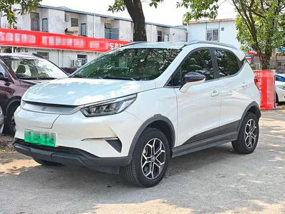 2021 BYD Yuan Pro 401KM Luxury Model, фото 1, лот 10888850