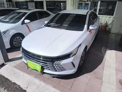 2024 BYD Destroyer 05 Glory Edition DM-i 55KM Luxury, фото 1, лот 11395626