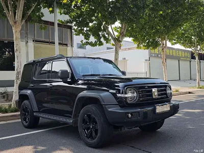 2021 Tank 300 Off-road Version 2.0T Conqueror, фото 3, лот 10511173
