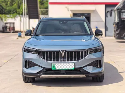 2021 Voyah Auto VOYAH FREE AWD Standard Range Extender Exclusive Luxury Package, фото 2, лот 10666574