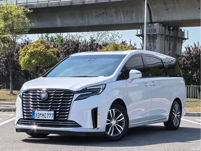2023 Buick GL8 ES Landmaster Exclusive, фото 1, лот 10256094