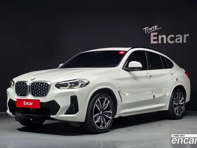 2025 BMW X4 xDrive20d M Sport, фото 1, лот 10525921