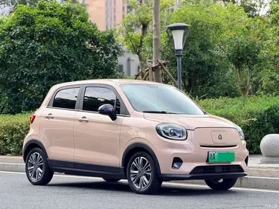 2021 Leapmotor T03 400 Micro Sugar Edition, фото 3, лот 10315164