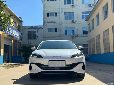 2024 BYD Seal 06 New Energy DM-i 80KM Prestige, фото 2, лот 10273551