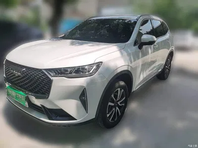 2021 Haval H6 3rd Gen 1.5T Auto 2WD Pro, фото 1, лот 10300760