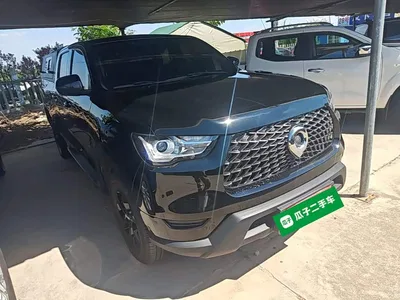 2021 Great Wall Pao 2.0T Commercial Edition Automatic Diesel 4WD Elite Long Box GW4D20M, фото 4, лот 10248899