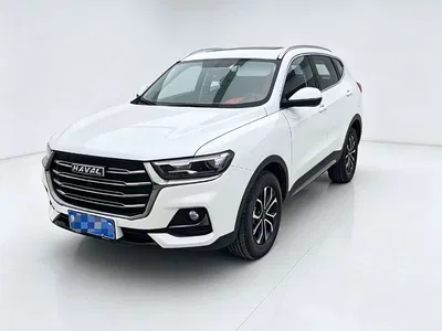 2021 Haval H6 Model 1.5T Automatic Champion Edition, фото 1, лот 11210512