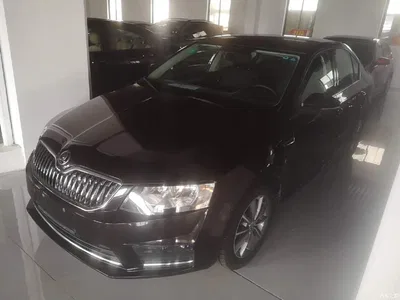 2017 Škoda Octavia 1.6L Automatic Pioneer Edition, фото 1, лот 11181144