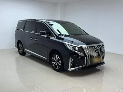 2021 GAC Trumpchi Trumpchi M8 Leading Show Series 390T Premium Edition, фото 4, лот 10421841
