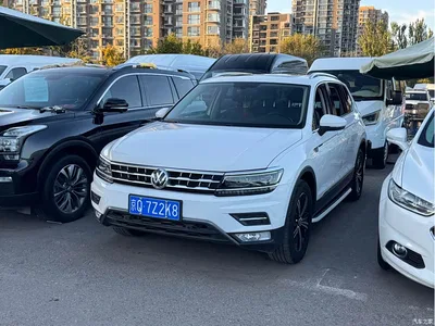 2017 Volkswagen Tiguan L 330TSI Automatic 2WD Flagship Edition, фото 1, лот 11570304
