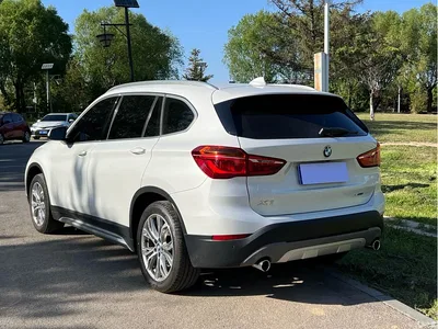2019 BMW X1 sDrive20Li Leading Model, фото 4, лот 10466789