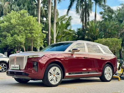2022 Hongqi E-HS9 660km Qi Chang Edition (6-seater), фото 1, лот 10287746