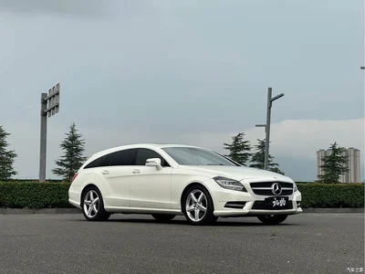 2013 Mercedes-Benz CLS 350 Shooting Brake Luxury, фото 3, лот 10300083