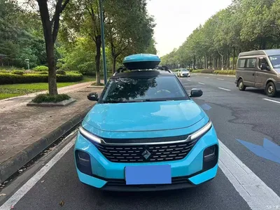 2021 Baojun Valli 1.5T Nagqu Starry Sky CVT Flagship Model, фото 2, лот 10402534