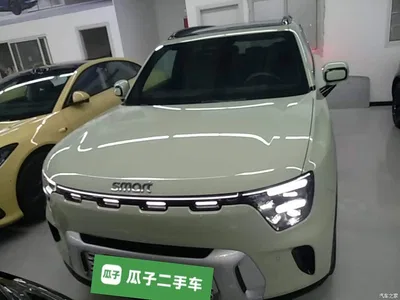 2024 smart Genie #5 Ultra Long Range Adventure Luxury Edition, фото 3, лот 10343629