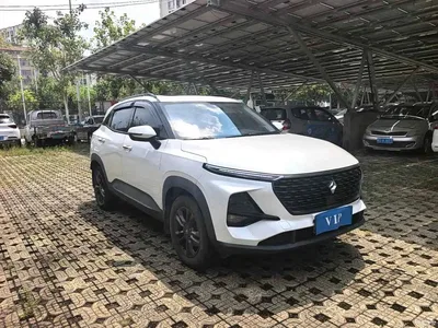2020 Baojun RS-3 1.5L CVT 24-hour Online Elite Model, фото 3, лот 10674996