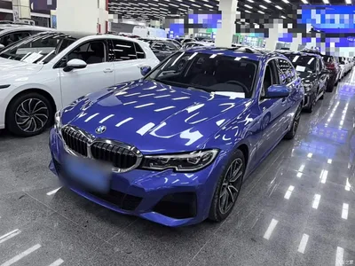 2020 BMW 3 Series 320Li M Sport Package, фото 1, лот 10457791