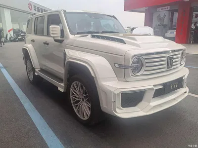 2021 Tank 300 Off-road Version 2.0T Conqueror, фото 3, лот 10345033