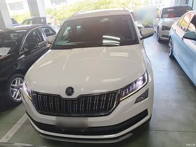 2019 Škoda Kodiaq Facelift TSI330 5-Seater 2WD Luxury Premium Edition China VI, фото 3, лот 10348088