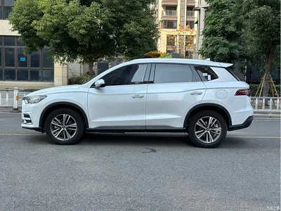 2019 BYD Song Pro 1.5T Automatic Luxury, фото 3, лот 10248280