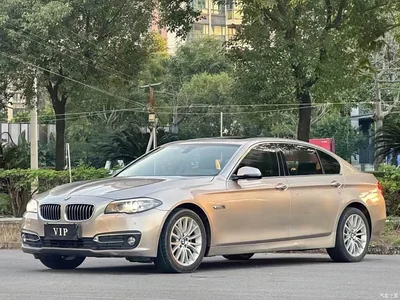 2017 BMW 5 Series 525Li Leading Edition, фото 3, лот 10448849