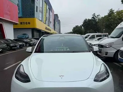 2022 Tesla Model Y Rear-Wheel Drive Version, фото 2, лот 11241191