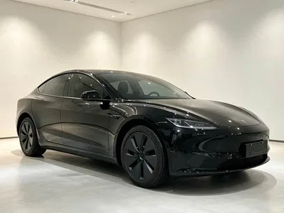 2025 Tesla Model 3 Model Long Range Rear-Wheel Drive, фото 3, лот 10361599