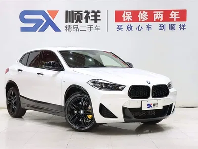 2023 BMW X2 sDrive25i M Sport Shadow Edition, фото 3, лот 10411421