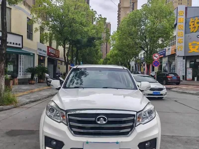 2017 Great Wall Fengjun 6 2.0T Diesel 4WD Elite 4D20D, фото 2, лот 11170826