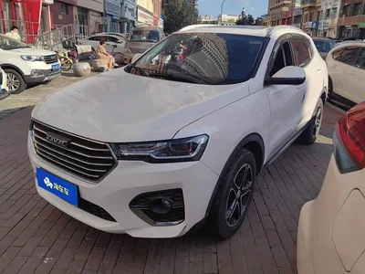 2020 Haval H4 Enjoy Edition 1.5T DCT Smart, фото 1, лот 10399744