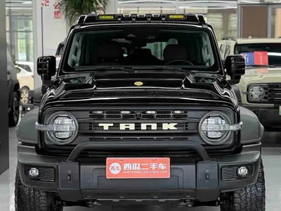 2024 Tank 300 2.0T Conqueror, фото 3, лот 10344618