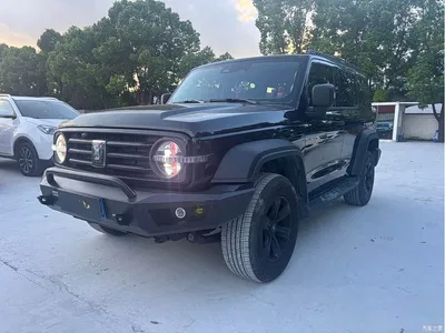 2024 Tank 300 Model 2.0T Challenger, фото 1, лот 10344147