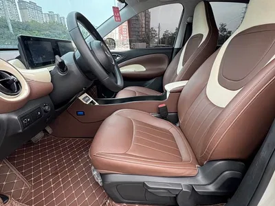 2025 Wuling Motors Wuling Bingo Model 333km Joy Edition, фото 4, лот 10367751