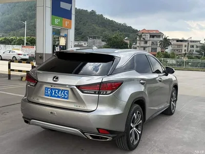 2020 Lexus RX 300 AWD Elegance Edition China V, фото 4, лот 10671097