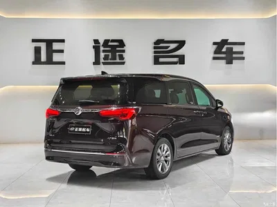 2020 Buick GL8, фото 3, лот 10242476